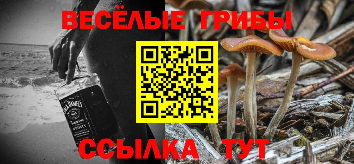 Псилоцибиновые грибы Cubensis  Псилоцибиновые грибы Magic Shrooms  Вход с VPN  Ипатово 