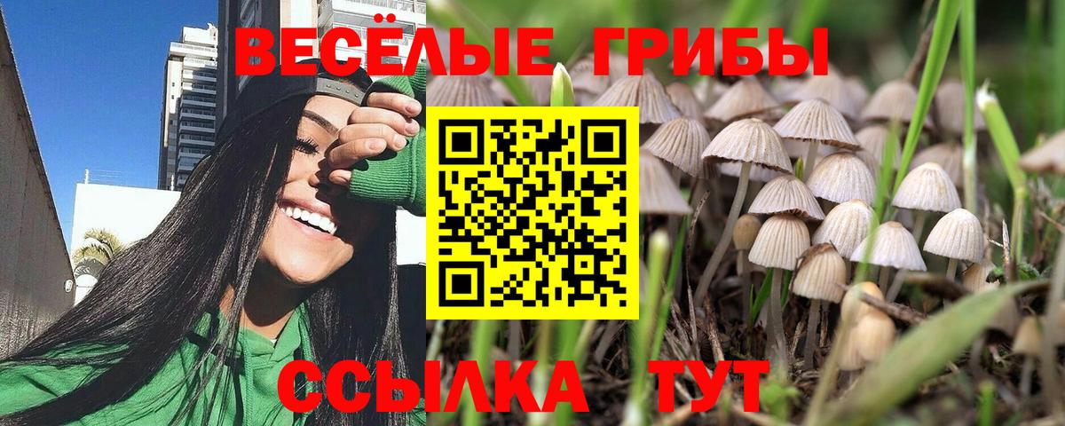 Галлюциногенные грибы мухоморы Ипатово